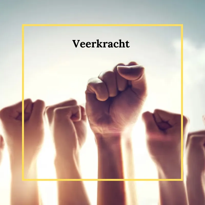 Veerkracht